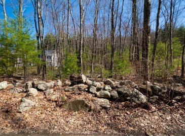 0 Stiles Rd, Boylston, Massachusetts, ,Land,For Sale,Stiles Rd,73358919