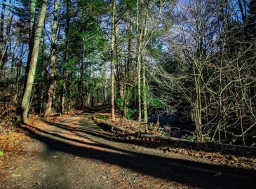 74 Village Hill Rd, Williamsburg, Massachusetts, ,Land,For Sale,Village Hill Rd,73213740