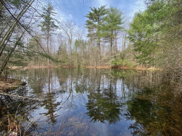 7-L New Athol Rd, Petersham, Massachusetts, ,Land,For Sale,New Athol Rd,73360982