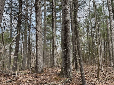 Lot 1 Monson Turnpike Road, Ware, Massachusetts, ,Land,For Sale,Monson Turnpike Road,73361524