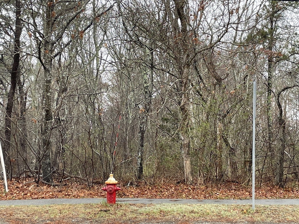 0 Phinneys Ln, Barnstable, Massachusetts, ,Land,For Sale,Phinneys Ln,73362213