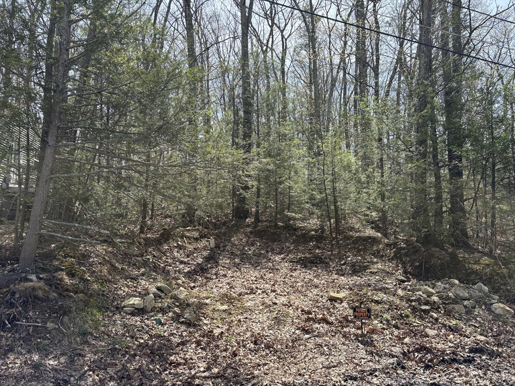 0 Stevens Park Rd, Charlton, Massachusetts, ,Land,For Sale,Stevens Park Rd,73366215