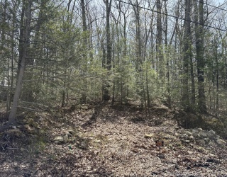 0 Stevens Park Rd, Charlton, Massachusetts, ,Land,For Sale,Stevens Park Rd,73366215