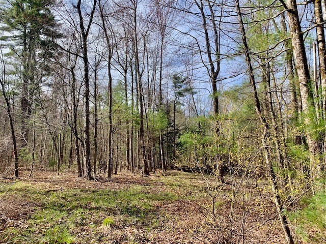 86 W Elm, Lunenburg Rd, Blood Rd, Townsend, Massachusetts, ,Land,For Sale,W Elm, Lunenburg Rd, Blood Rd,73366338