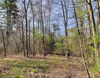 86 W Elm, Lunenburg Rd, Blood Rd, Townsend, Massachusetts, ,Land,For Sale,W Elm, Lunenburg Rd, Blood Rd,73366338