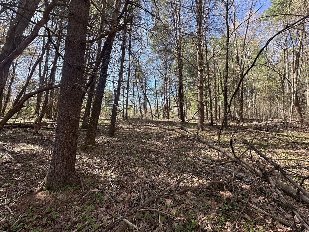 151 Jewett Street, Georgetown, Massachusetts, ,Land,For Sale,Jewett Street,73367256