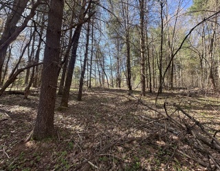 Land