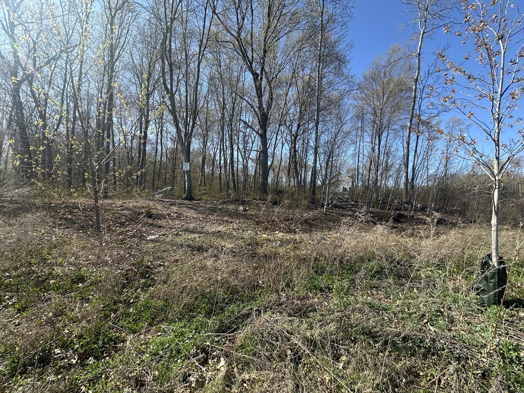 12 Ciana Rd, Rehoboth, Massachusetts, ,Land,For Sale,Ciana Rd,73367648