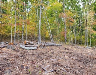 5 W. Shore, Ashburnham, Massachusetts, ,Land,For Sale,W. Shore,73367955