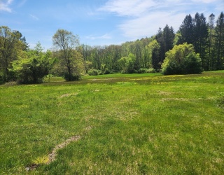 13 Mill Street, Sherborn, Massachusetts, ,Land,For Sale,Mill Street,73368025