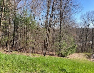 15 Augustine Drive, Westford, Massachusetts, ,Land,For Sale,Augustine Drive,73368033