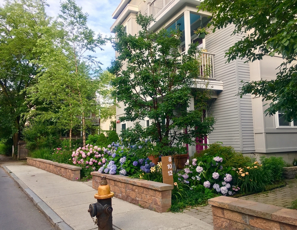 8-12 Stedman Street, Boston, Massachusetts, 3 Bedrooms Bedrooms, 6 Rooms Rooms,2.5 BathroomsBathrooms,Residential,For Sale,Stedman Street,73353295