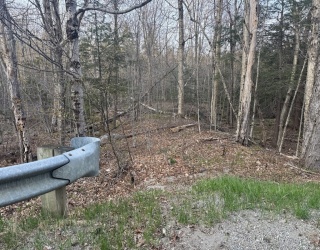 0 Cole St, Cummington, Massachusetts, ,Land,For Sale,Cole St,73368709