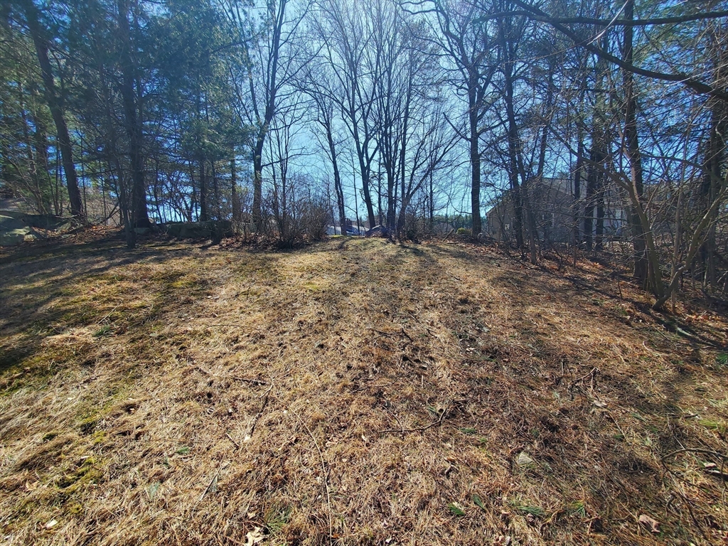 9 Michelle, Nashua, New Hampshire, ,Land,For Sale,Michelle,73368735