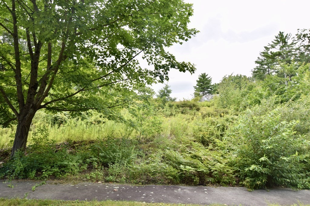LOT 40 Trailside Road, Medfield, Massachusetts, ,Land,For Sale,Trailside Road,73369313