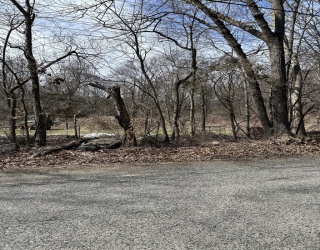 21 Jencks Rd., Cumberland, Rhode Island, ,Land,For Sale,Jencks Rd.,73370507