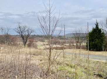 22 Nicholson Hill Rd, Southwick, Massachusetts, ,Land,For Sale,Nicholson Hill Rd,72812588