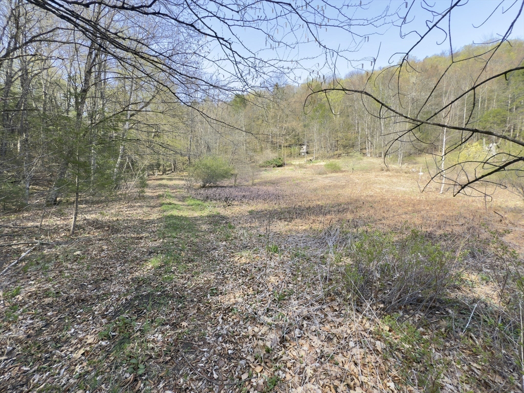 138 E Buckland Road, Buckland, Massachusetts, ,Land,For Sale,E Buckland Road,73370710