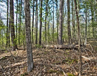 Lot A Kiwanis Beach Rd, Upton, Massachusetts, ,Land,For Sale,Kiwanis Beach Rd,73370749