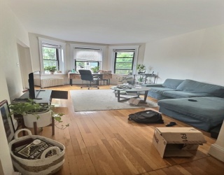 397 Harvard, Brookline, Massachusetts, 2 Bedrooms Bedrooms, 3 Rooms Rooms,1 BathroomBathrooms,Residential Lease,For Rent,Harvard,73371081