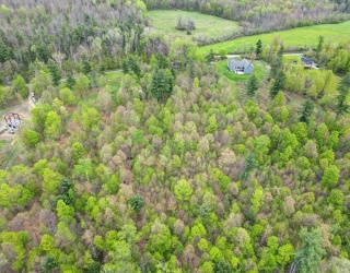 16 Jenks Road Lot 16, Cheshire, Massachusetts, ,Land,For Sale,Jenks Road Lot 16,73371521