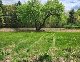 65 Farm Road Lot 6, Sherborn, Massachusetts, ,Land,For Sale,Farm Road Lot 6,73371853