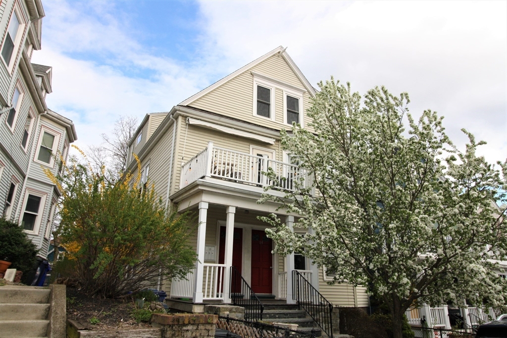 12 Playstead Road, Boston, Massachusetts, 2 Bedrooms Bedrooms, 4 Rooms Rooms,1 BathroomBathrooms,Residential Lease,For Rent,Playstead Road,73365317