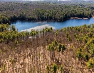 0 Carter Pond Rd, Petersham, Massachusetts, ,Land,For Sale,Carter Pond Rd,73371988
