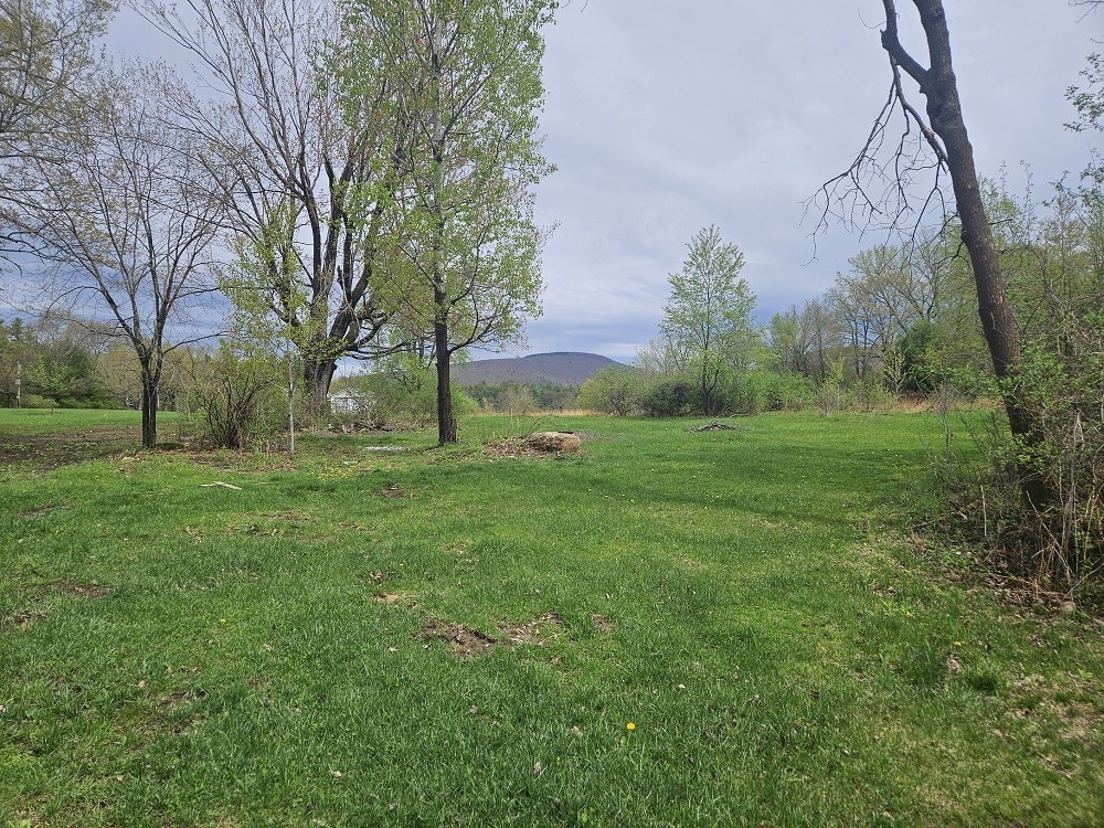 462 Henderson Rd, Williamstown, Massachusetts, ,Land,For Sale,Henderson Rd,73372313