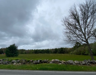 Land