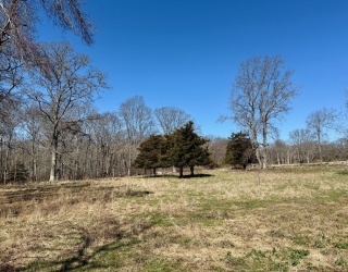 Land