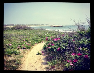 Land