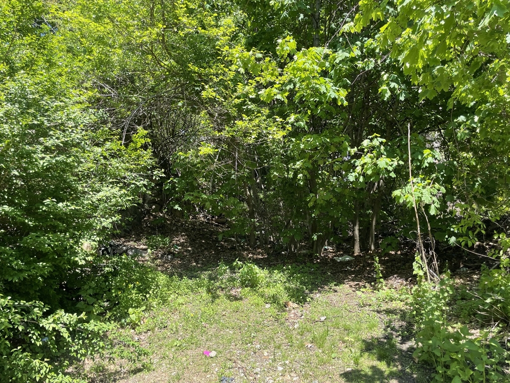13 Waite St, Worcester, Massachusetts, ,Land,For Sale,Waite St,73373243