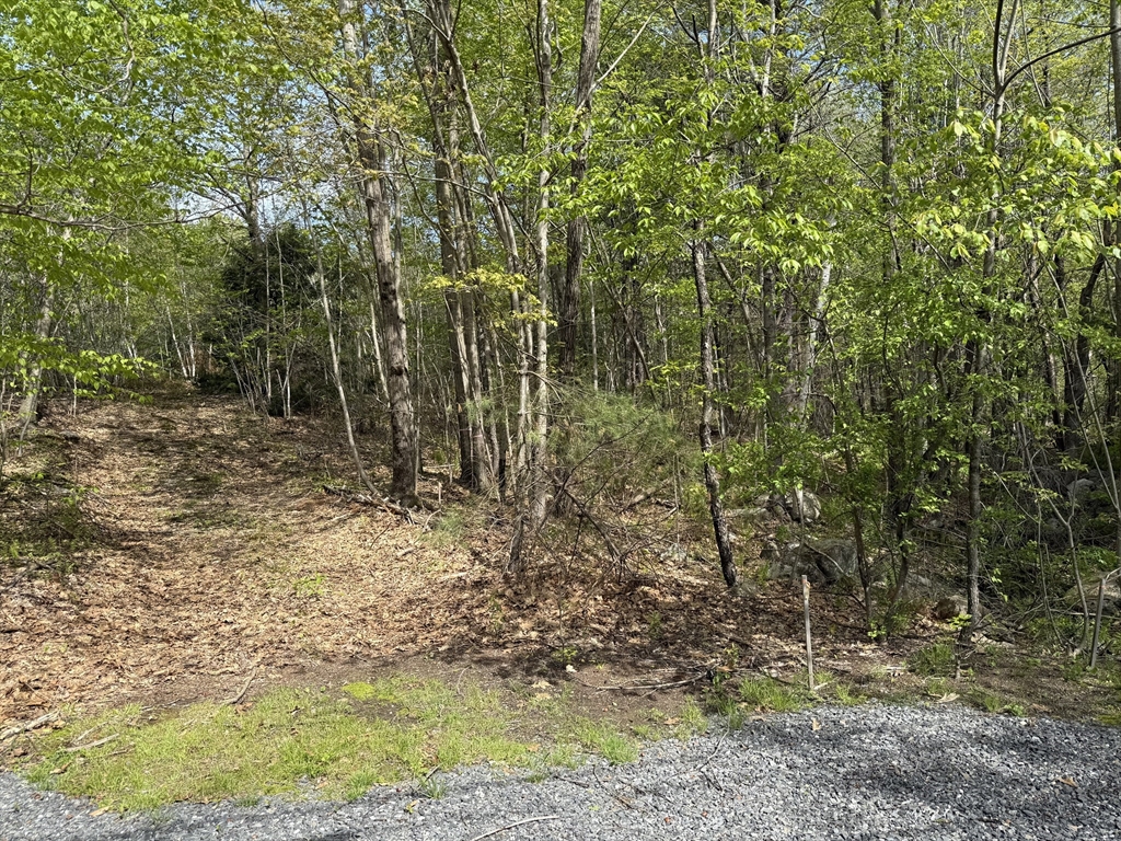 Lot 0 Old Westminster Rd, Hubbardston, Massachusetts, ,Land,For Sale,Old Westminster Rd,73373882