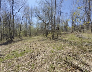 Land