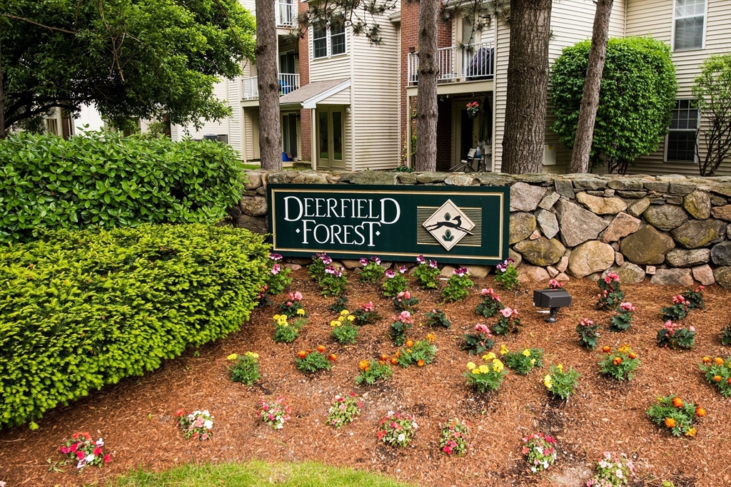 6 Walden Drive, Natick, Massachusetts, 1 Bedroom Bedrooms, 4 Rooms Rooms,1 BathroomBathrooms,Residential Lease,For Rent,Walden Drive,73375768