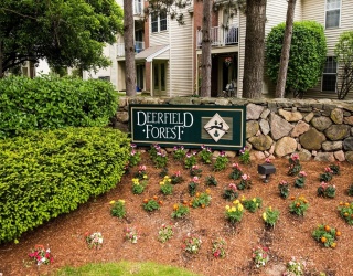 Residential Lease