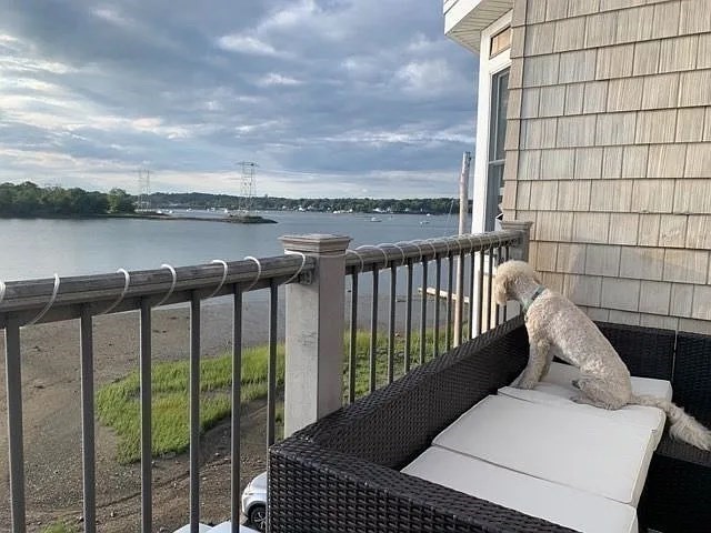 43 March, Salem, Massachusetts, 3 Bedrooms Bedrooms, 5 Rooms Rooms,2 BathroomsBathrooms,Residential Lease,For Rent,March,73376437