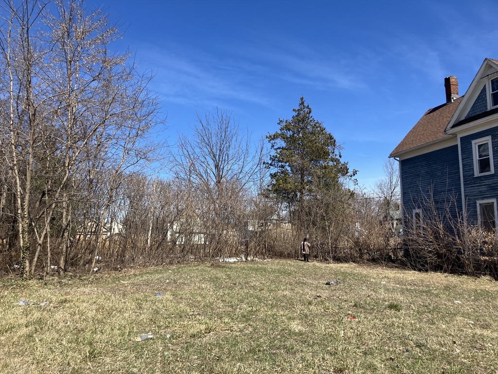 0 NS (24) Alden Street, Springfield, Massachusetts, ,Land,For Sale,Alden Street,73376670