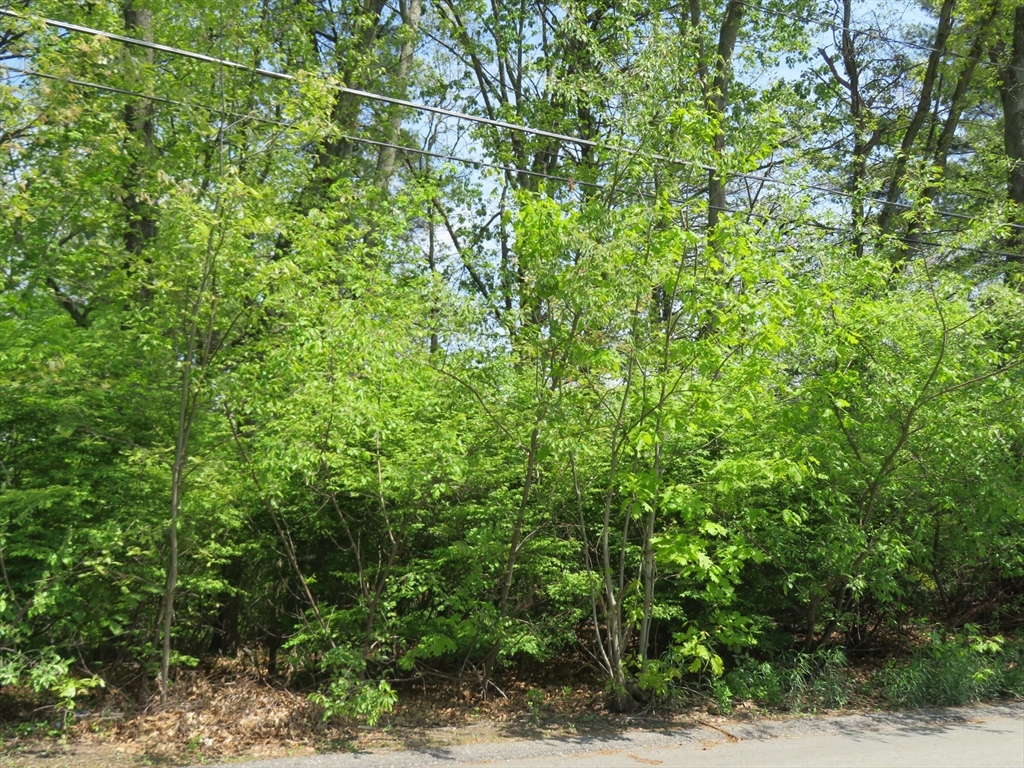 Lot 653 Farmington, Nashua, New Hampshire, ,Land,For Sale,Farmington,73376561