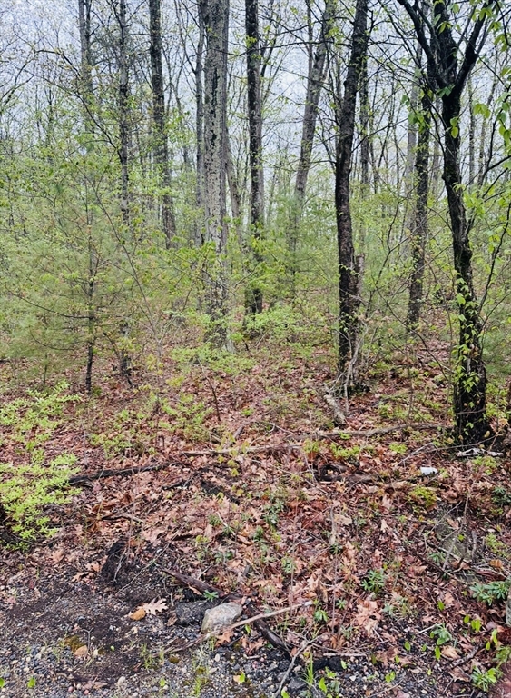 48 Mill Rd Lot 2e, North Brookfield, Massachusetts, ,Land,For Sale,Mill Rd Lot 2e,73371791