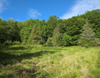 Land