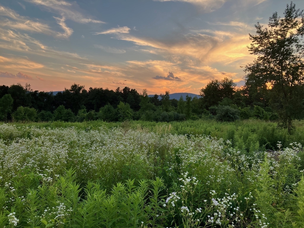186 Justice Hill Rd, Sterling, Massachusetts, ,Land,For Sale,Justice Hill Rd,73378529