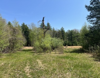 Land