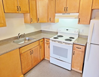 Residential Lease