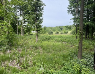 14 Sheep Pasture Rd, Southwick, Massachusetts, ,Land,For Sale,Sheep Pasture Rd,73380587