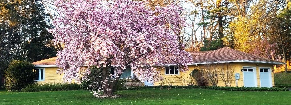 330 Chapin Street, Ludlow, Massachusetts, 3 Bedrooms Bedrooms, 6 Rooms Rooms,2 BathroomsBathrooms,Residential,For Sale,Chapin Street,73380949
