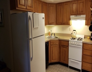 Residential Lease