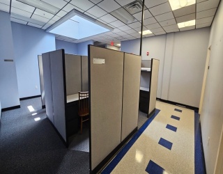 Commercial Lease