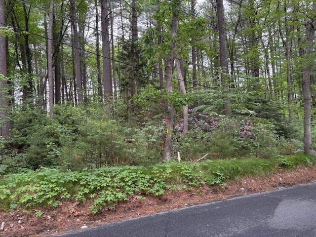 0- Lot 1 Old Post Rd, Walpole, Massachusetts, ,Land,For Sale,Old Post Rd,73382745